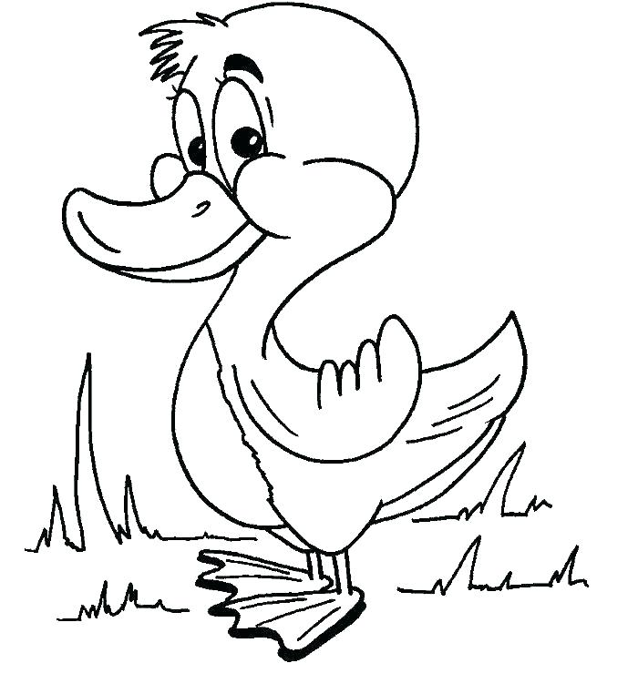 700x762 Picture Of A Duck To Color Daisy Duck Coloring Page Duck Color