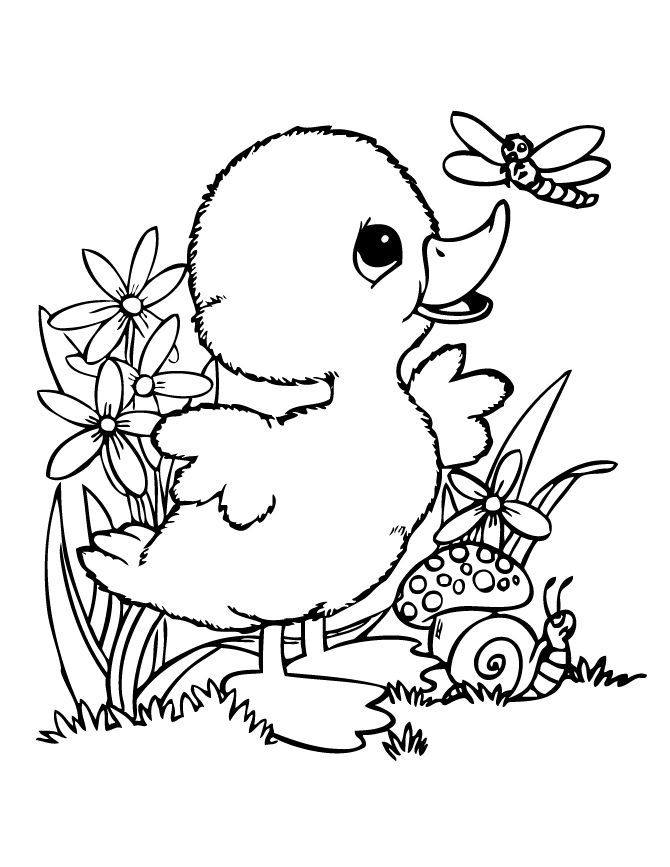 670x867 Cute Baby Duck Coloring Pages