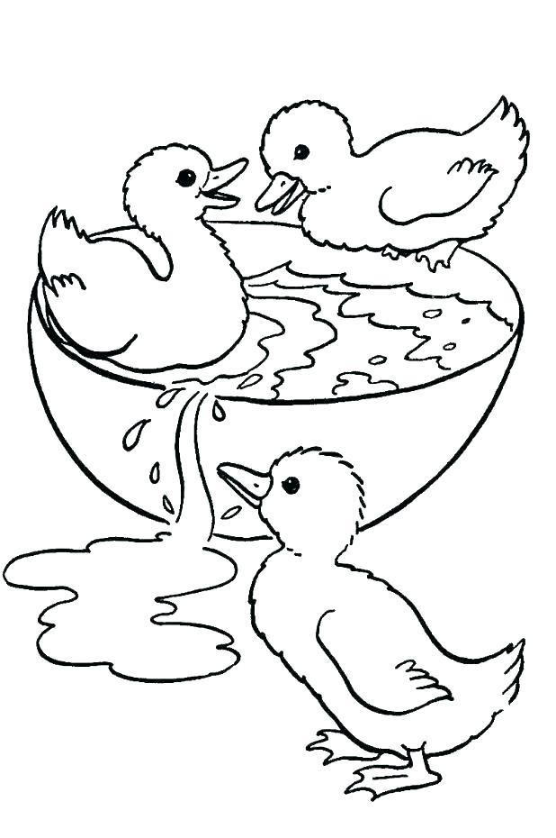 618x930 Oregon Ducks Coloring Pages