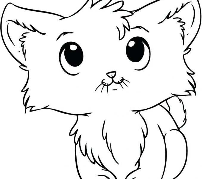 678x600 Cute Kitten Pictures To Print Cute Cats Coloring Pages Cute Cat
