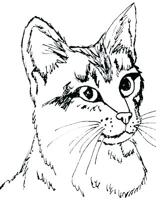 313x395 Cute Kittens Coloring Pages Kittens Coloring Pages Also Kitten