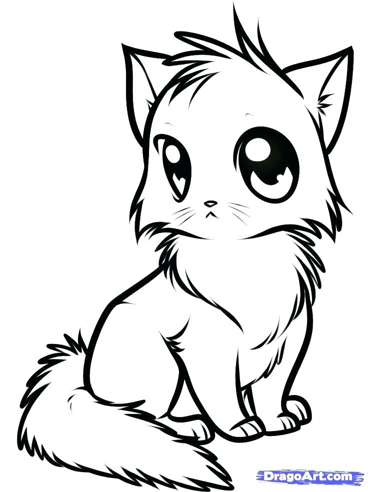 736x984 Cute Kittens Coloring Pages Wonderful Cute Kitten Coloring Pages
