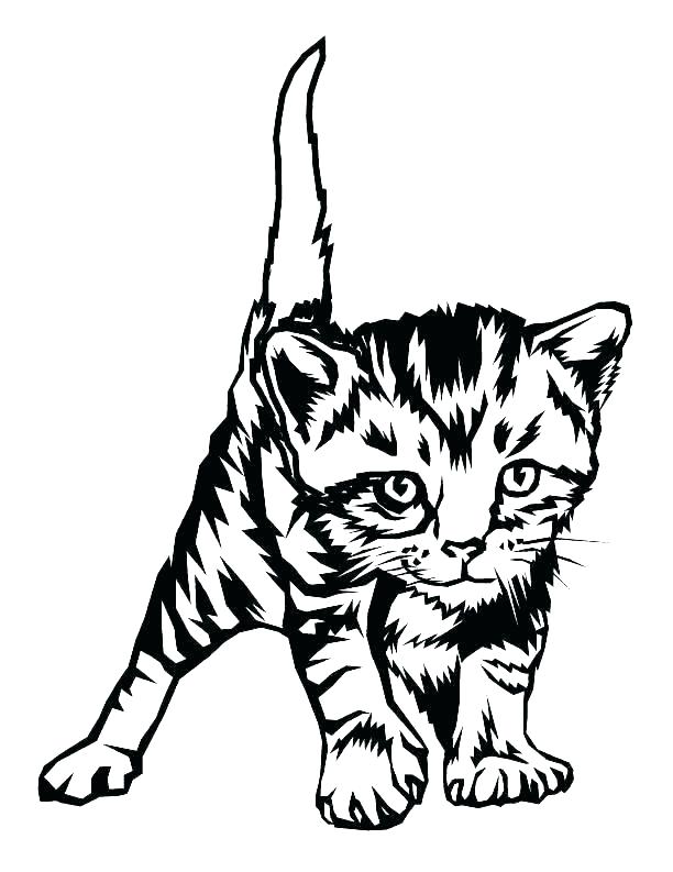 612x793 Kitten Coloring Pages Printable Cute Kitten Coloring Pages Cute