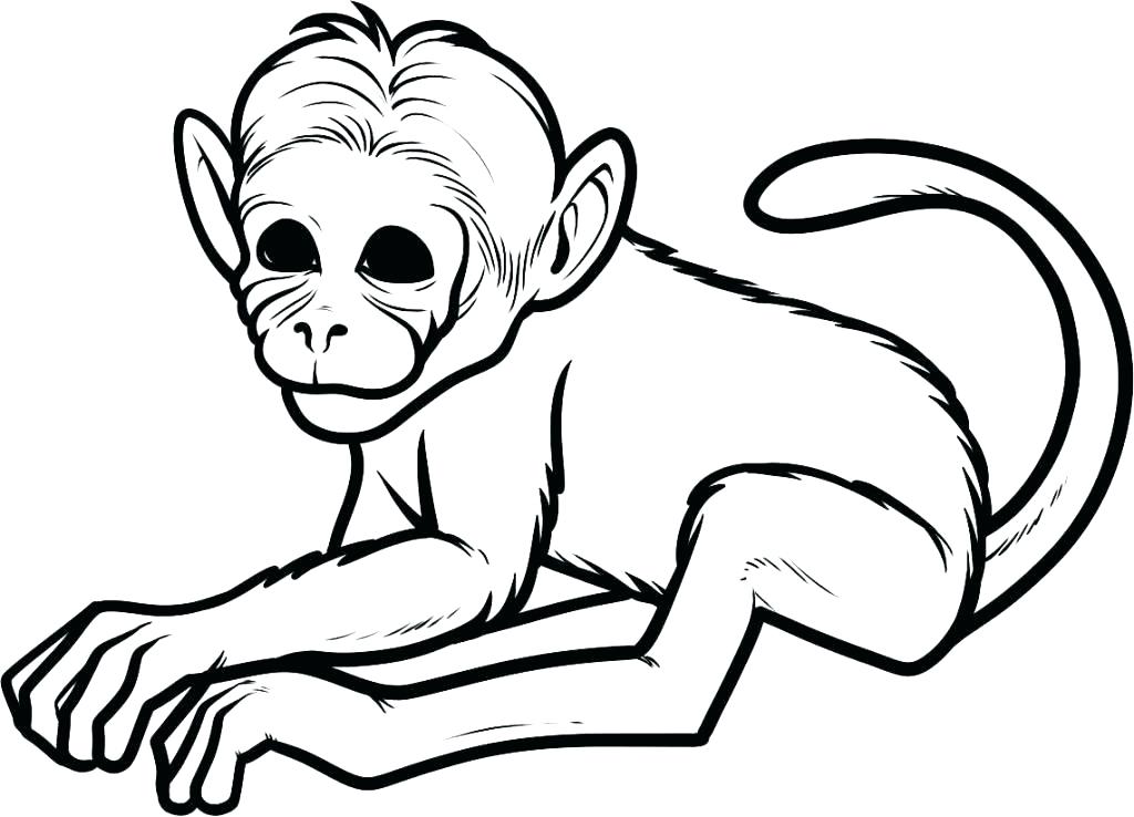 1024x738 Cute Monkey Coloring Pages Cartoon Monkey Coloring Pages Cute
