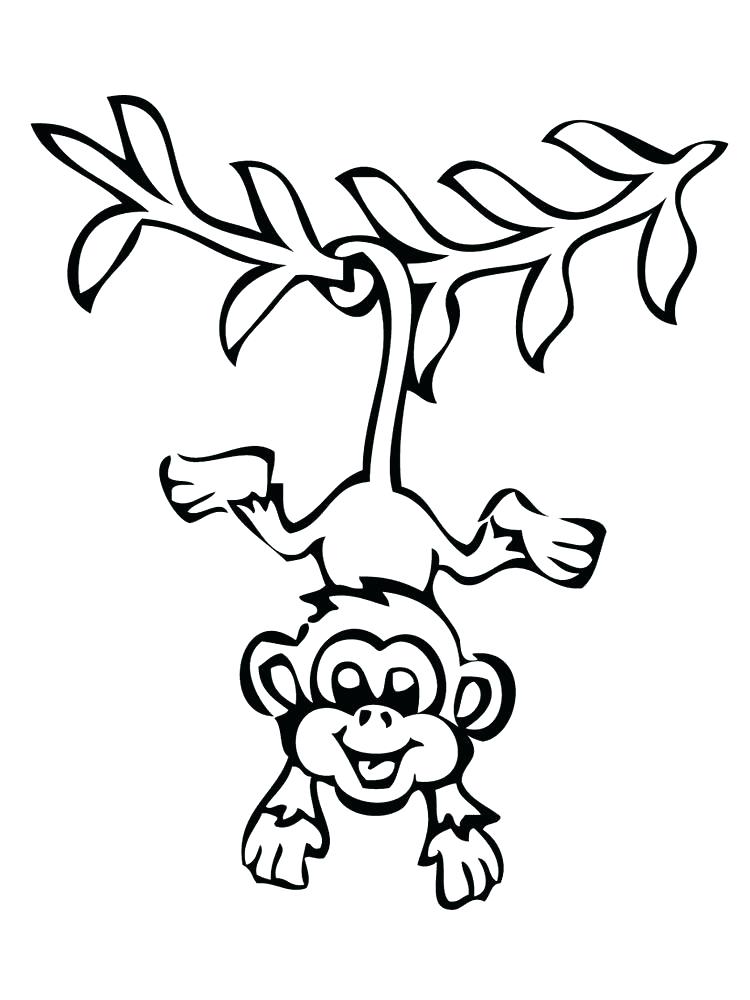 750x1000 Monkey Color Pages Coloring Pages Of Monkeys In Trees Monkey Color