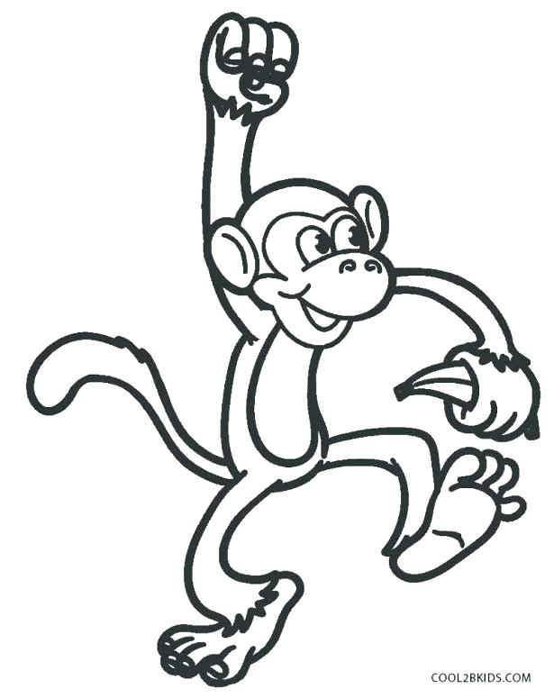615x775 Monkey Coloring Pictures Monkeys Coloring Pages Medium Size