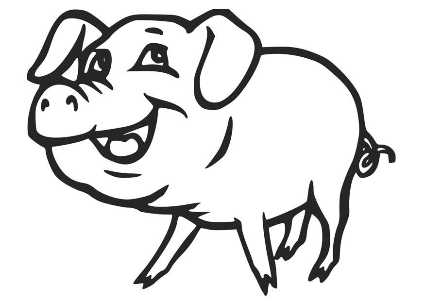 875x620 Free Printable Pig Coloring Pages For Kids