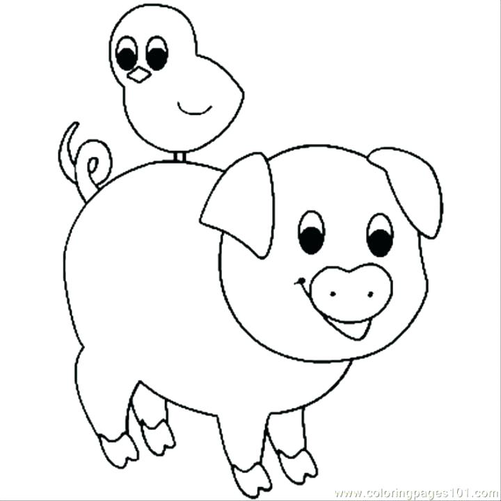 720x720 Cute Pig Coloring Pages Coloring Page Guinea Pig Coloring Pictures