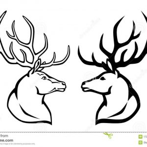 300x300 Deer Face Coloring Pages Fresh Deer Coloring Pages Bucks