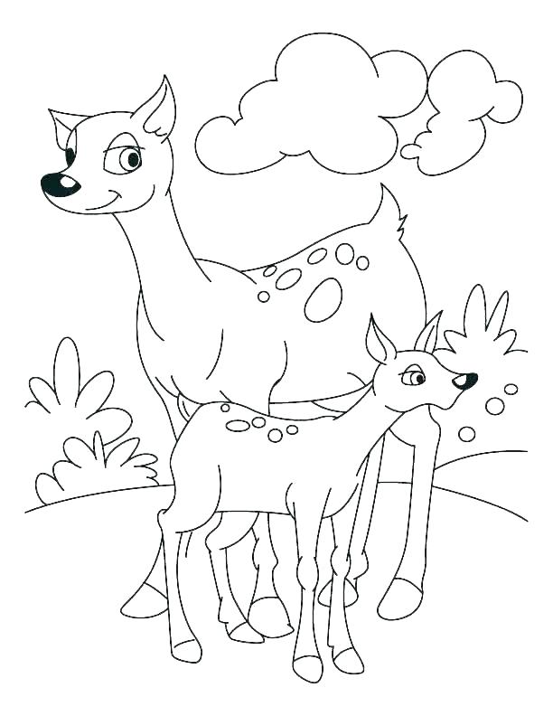 612x792 Deer Hunting Coloring Pages Duck Hunting Coloring Pages Idea Deer