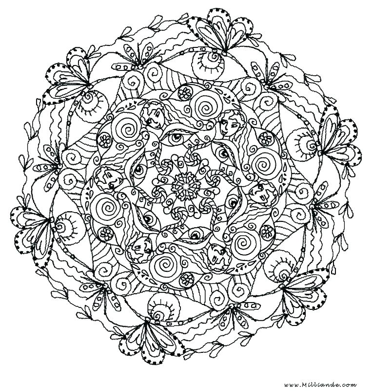 763x800 Detailed Flower Coloring Pages Best Flower Coloring Pages Ideas