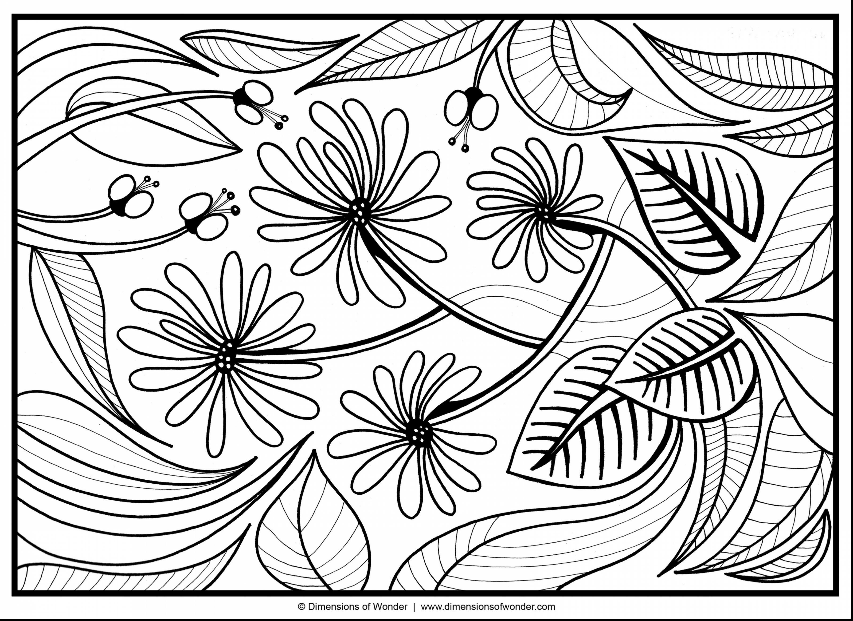3630x2640 Flowers Abstract Coloring Pages Colouring Adult Detailed Advanced