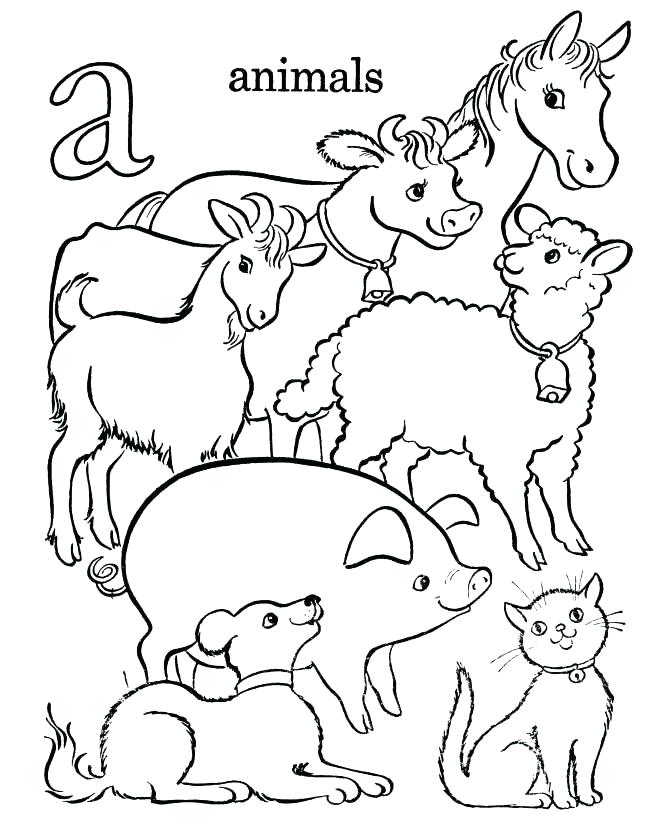 670x820 Free Coloring Pages Animal Farm Animals Color For Preschoolers Com