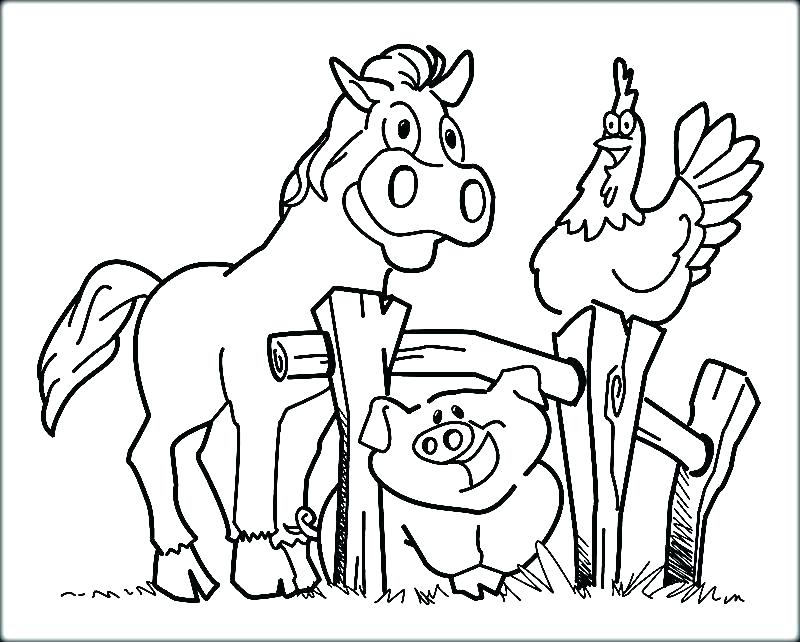 800x642 Free Farm Coloring Pages Baby Farm Animals Coloring Pages Animal