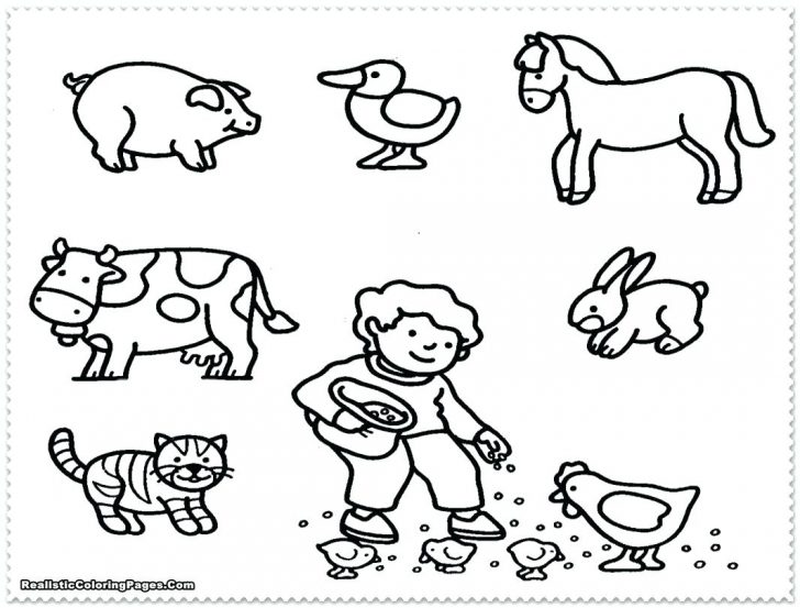 728x553 Preschool Coloring Pages Animals Free Of Zoo Sheets To Amusing