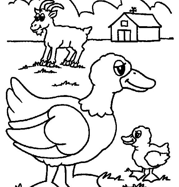 576x600 Farm Animal Coloring Pages For Preschoolers Coloring Pages