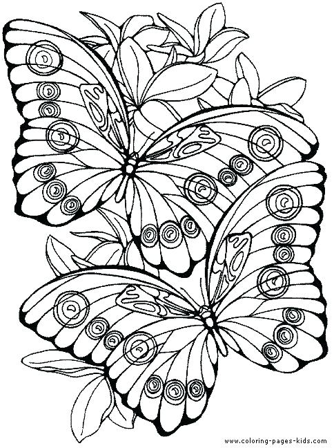 Coloring Pages Of Flowers And Butterflies at GetDrawings | Free download