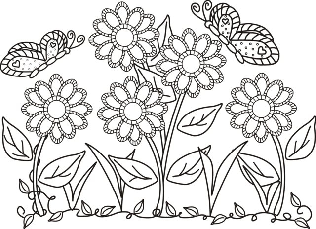 640x464 Coloring Pages Coloring Pages Flowers And Butterflies