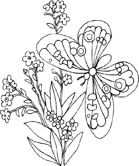 567x675 Coloring Pictures Flowers And Butterflies Coloring Pages