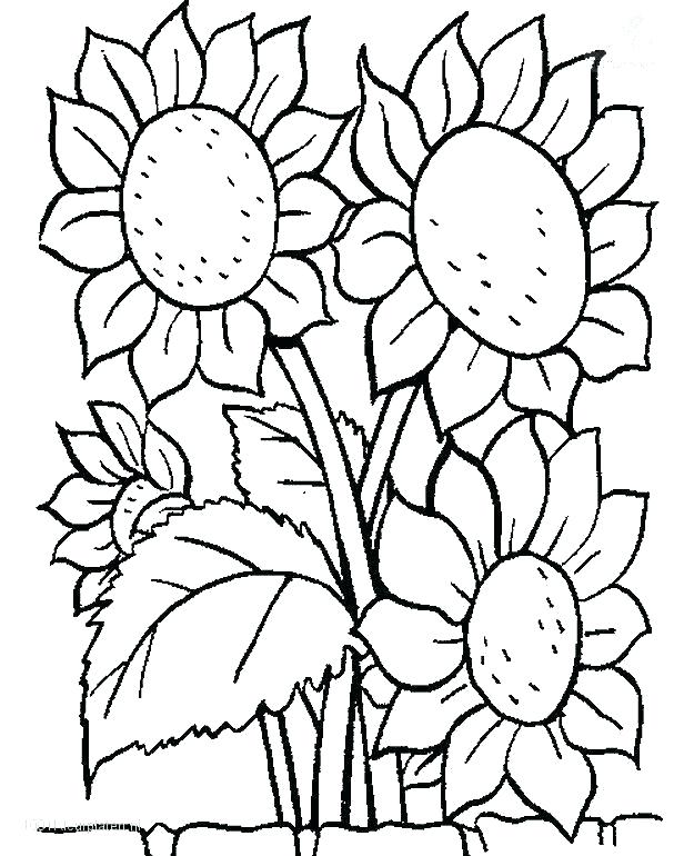 616x770 Flowers Coloring Page Coloring Pages Of Flowers And Hearts
