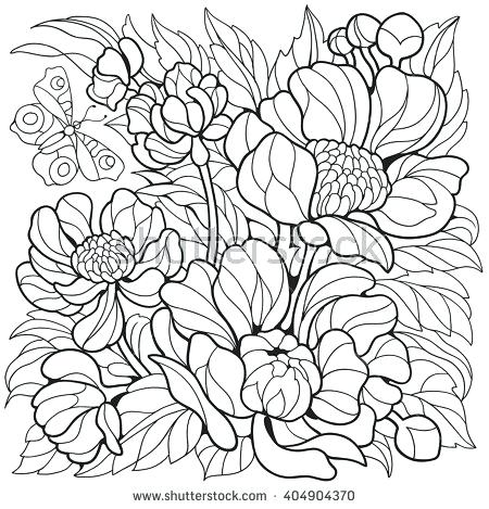 450x469 Coloring Pages Flowers And Butterflies Hard Coloring Pages