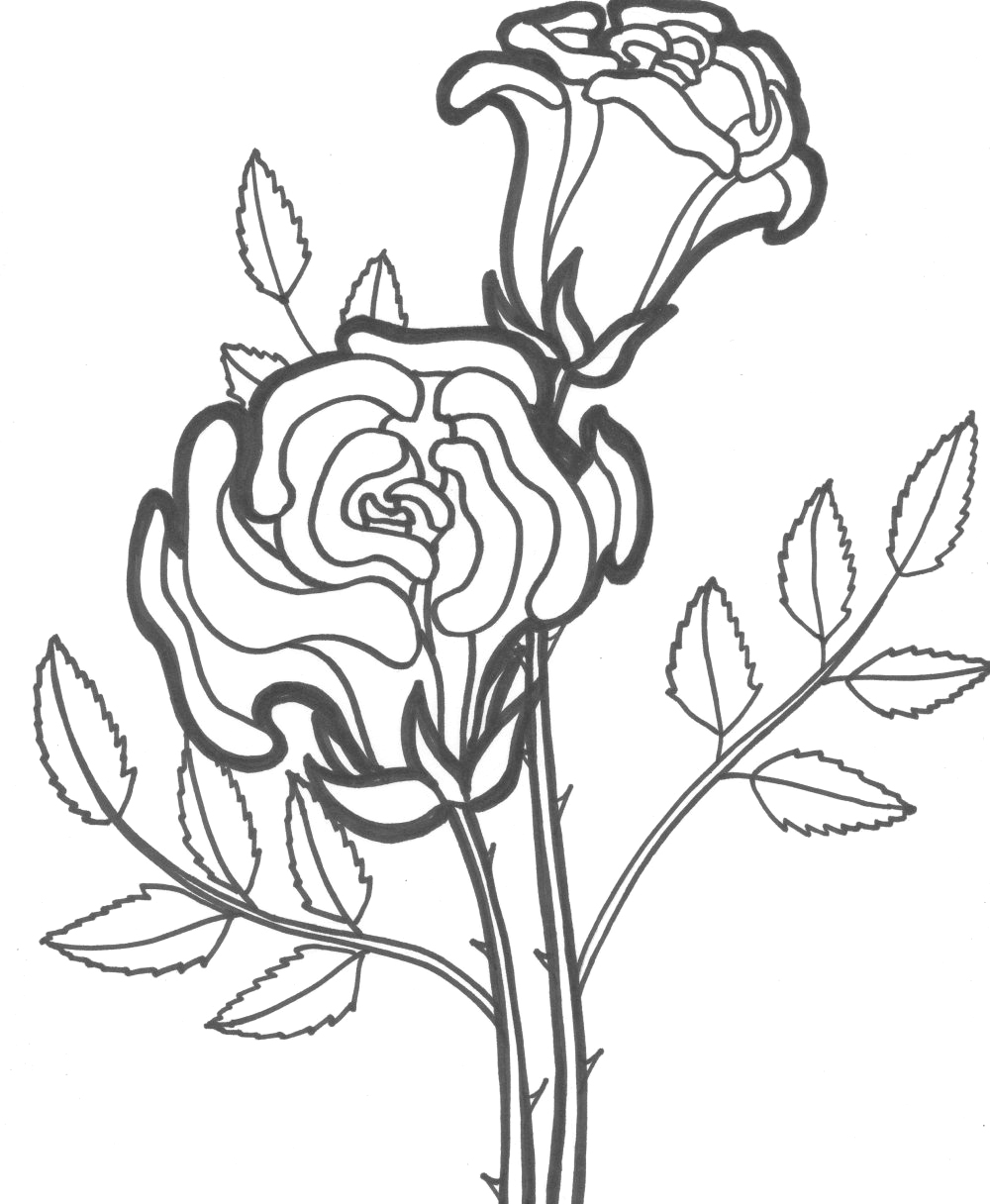 1000x1216 Free Printable Roses Coloring Pages For Kids