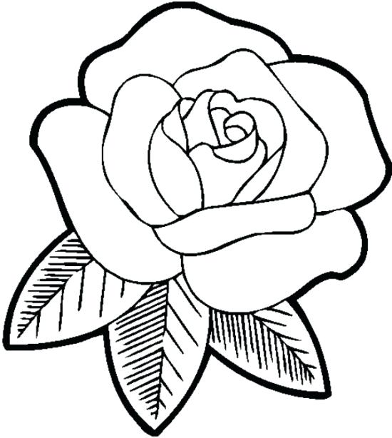 550x614 Roses Coloring Page Roses Coloring Pages Roses Coloring Pages