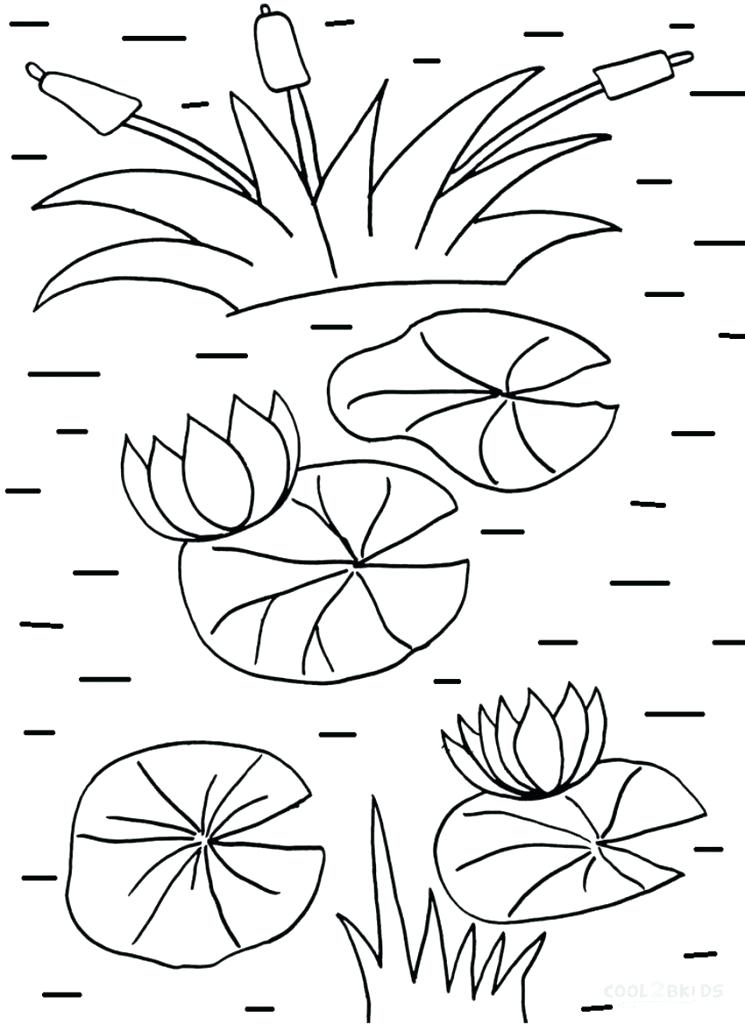 745x1024 Lily Pad Coloring Page