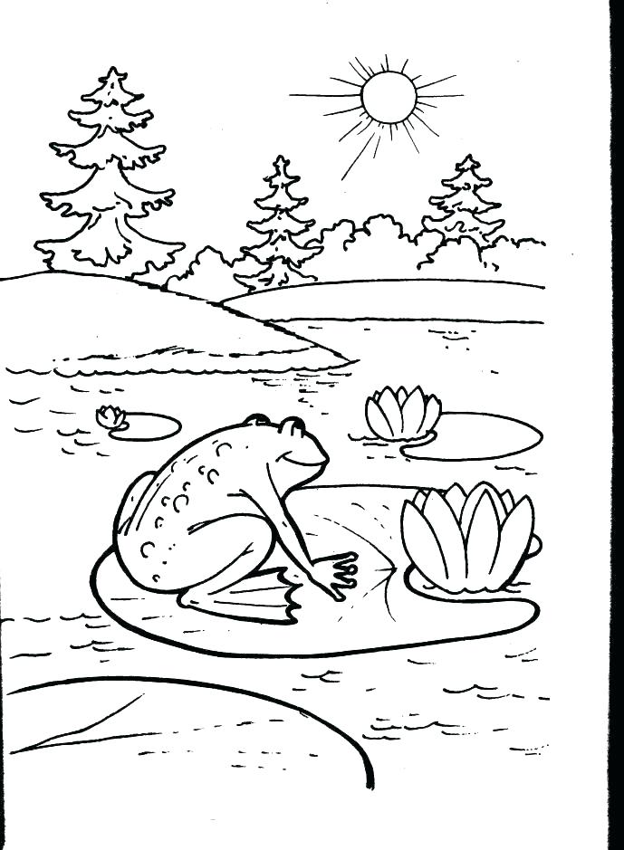 689x939 Coloring Pages Frogs Coloring Pages Frogs Frog Coloring Pages Frog