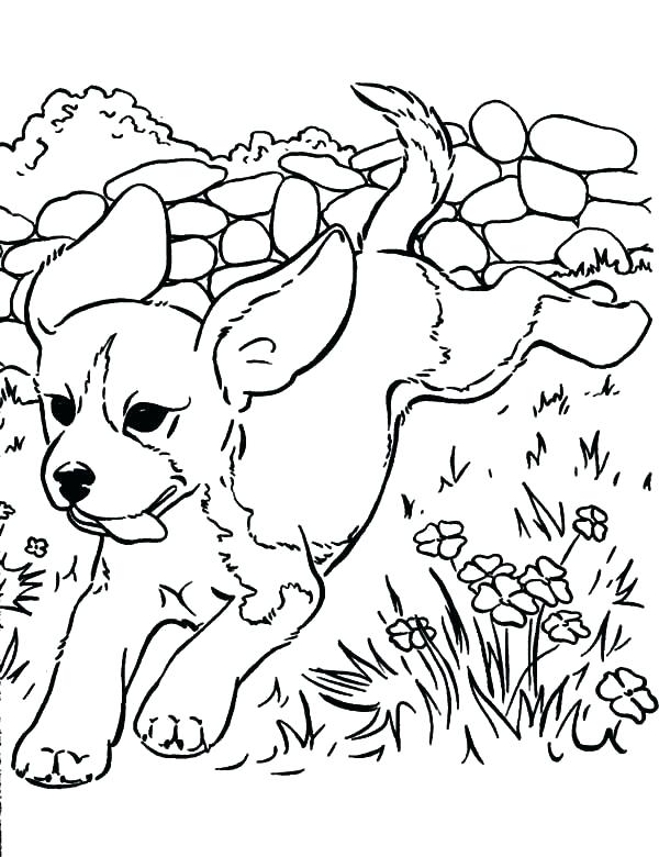 600x780 Golden Retriever Puppy Coloring Pages Puppy Coloring Pages Golden