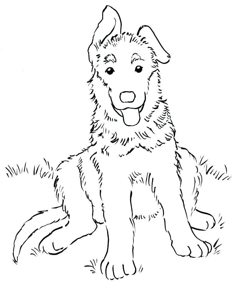 760x941 Shepherd Coloring Pages Golden Retriever Coloring Pages Shepherd