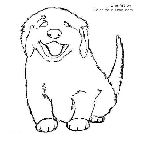 500x500 Fuzzy Puppy Line Art Dog Patterns Dog, Golden
