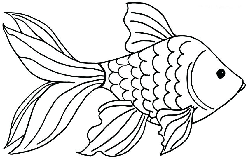 850x548 Goldfish Coloring Page Goldfish Coloring Page Memoirs