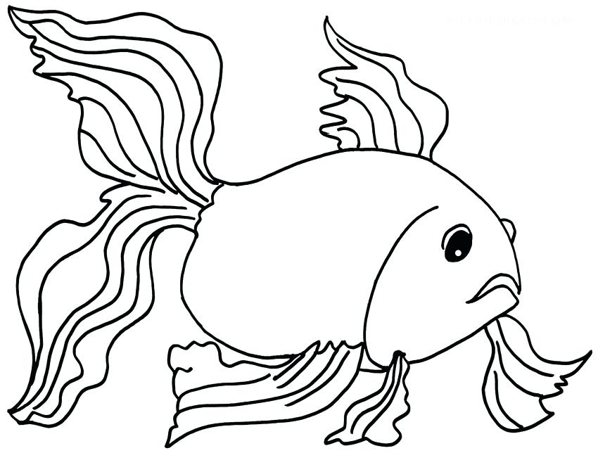 850x644 Matisse Coloring Pages Goldfish