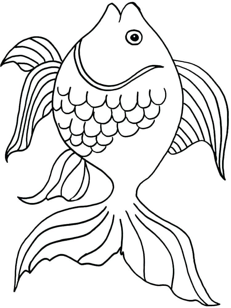 750x1000 Goldfish Coloring Pages