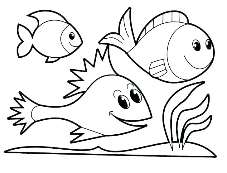 728x555 Fish Coloring Pages Printable Fish Colouring Pages Free Printable
