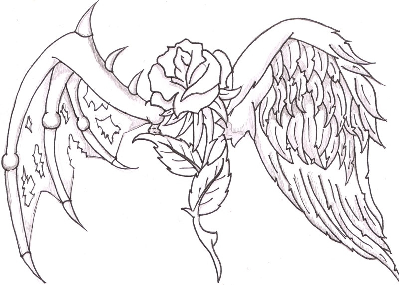 800x571 Drawn Cross Wing Rose Pencil And In Color Drawn Cross Wing Rose
