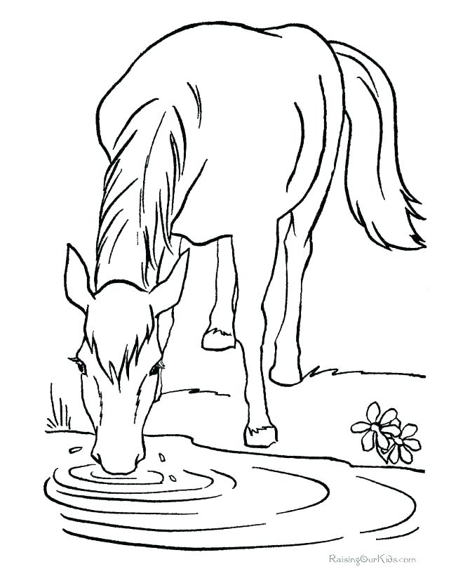 670x820 Horse Printable Coloring Pages Horse And Foal Printable Coloring