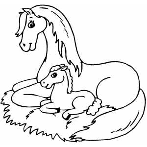 300x300 Horse Sitting With Foal Coloring Page