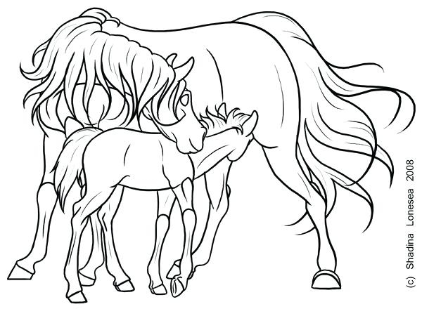 600x440 Mare And Foal Coloring Pages Filly Coloring Pages Shire Horse