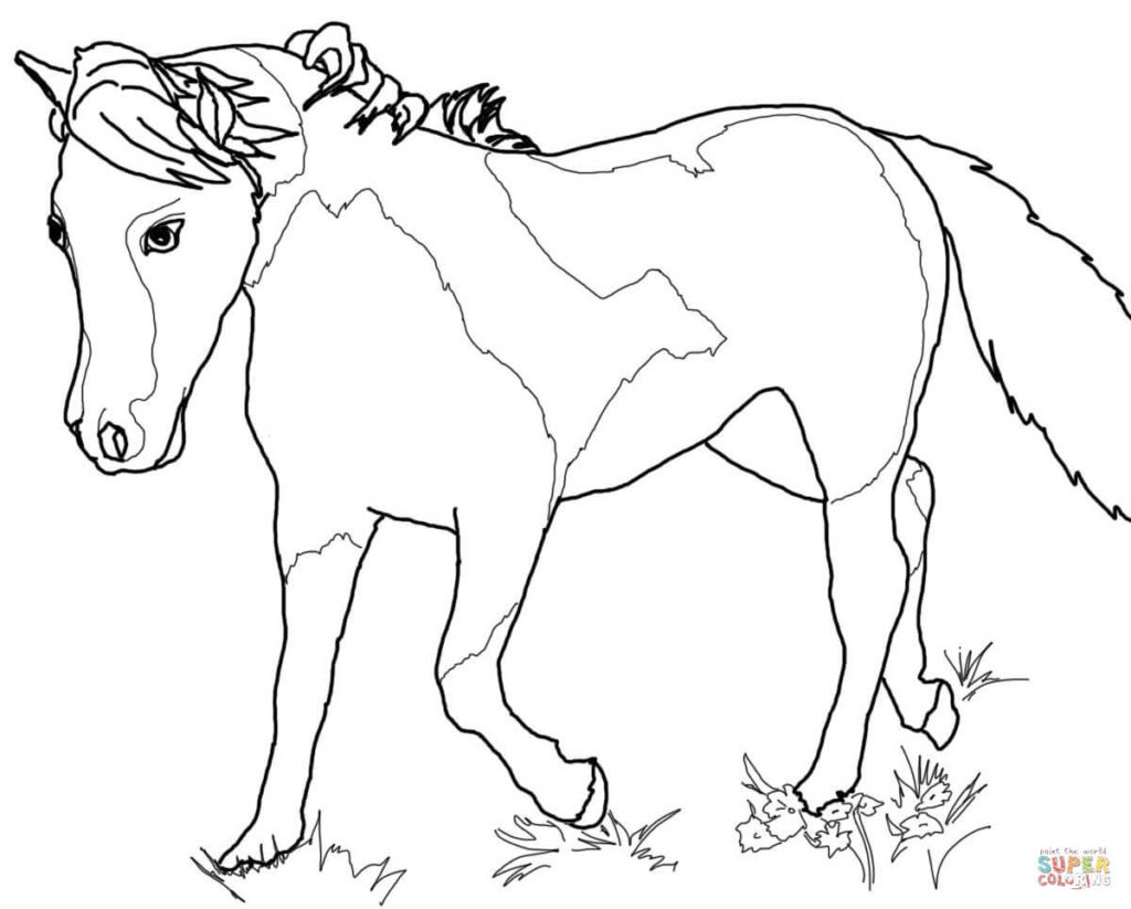 1024x823 Miniature Horse Foal And Bird Coloring Page Free Printable