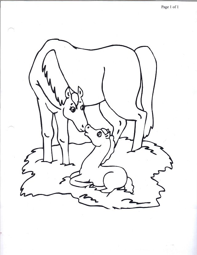 640x828 Coloring Pages Of Horses And Foals