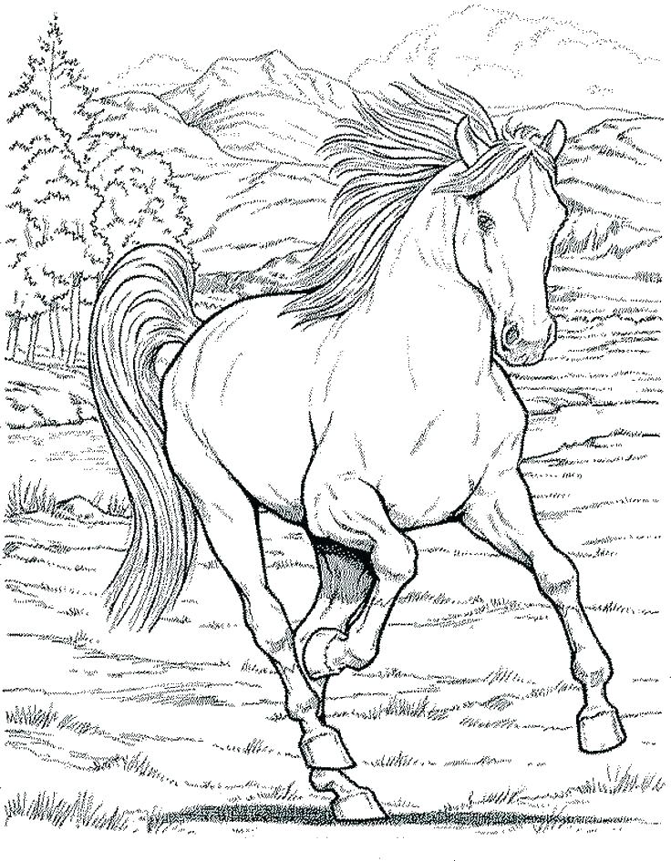 736x945 Horse And Pony Coloring Pages Free Of Horses Ponies Sweet