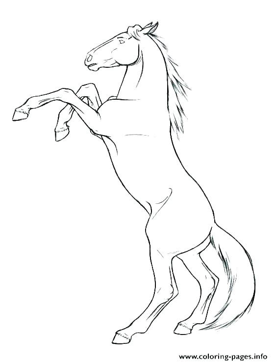561x739 Pony Horse Coloring Pages Horse Jumping Coloring Pages Free Horse