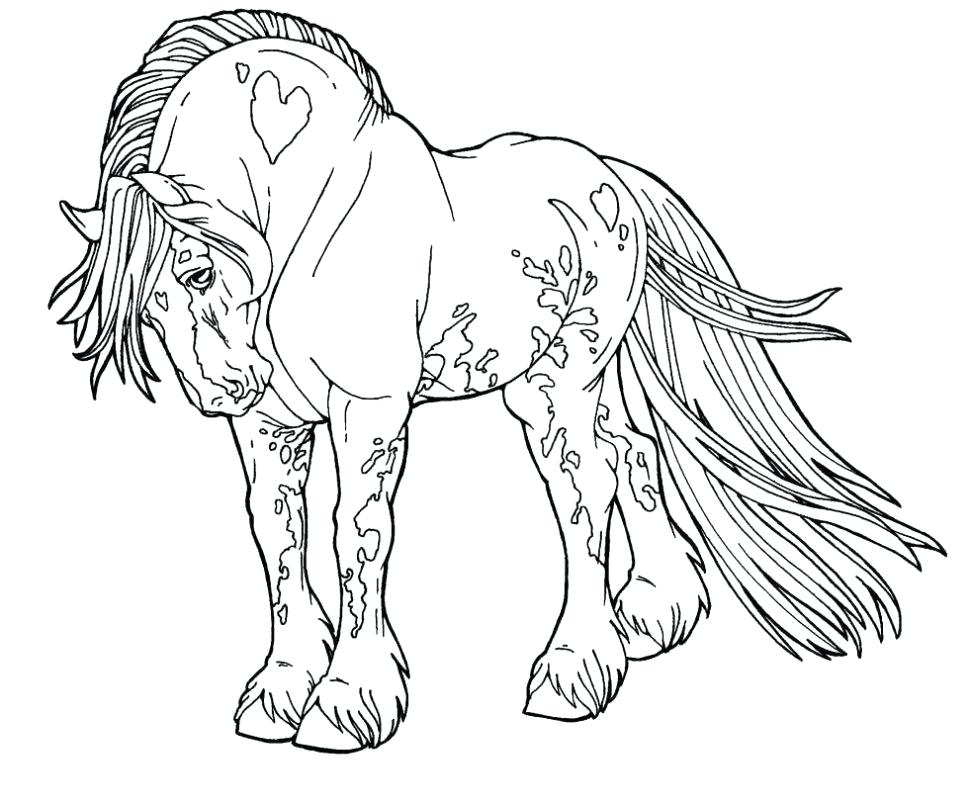 970x805 Coloring Pages Horses Animal Free Printable Pictures To Colour