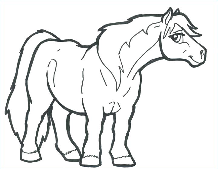 720x558 Coloring Pages Horses Ponies Of Page Printable Free Pony My Little