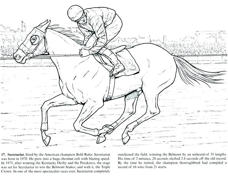 750x581 Horse Coloring Pages Printable Horse Jumping Colouring Pages Horse