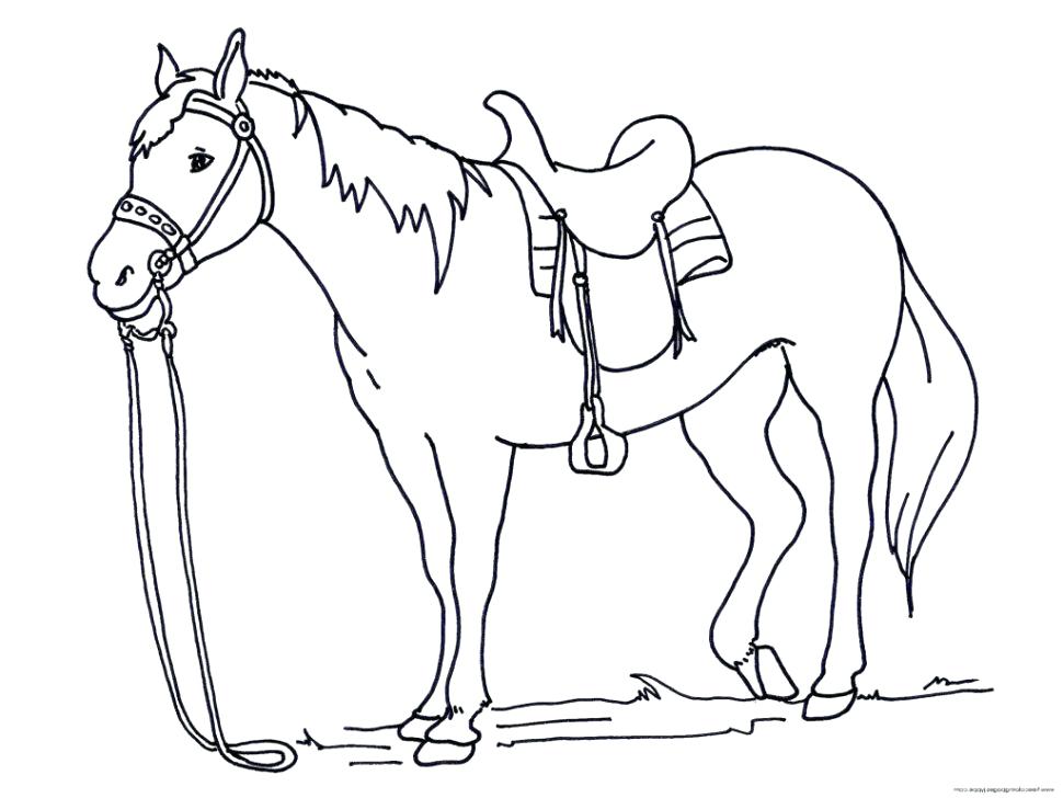 970x728 Horse Coloring Pages With Galloping Horses Nice Horse Coloring