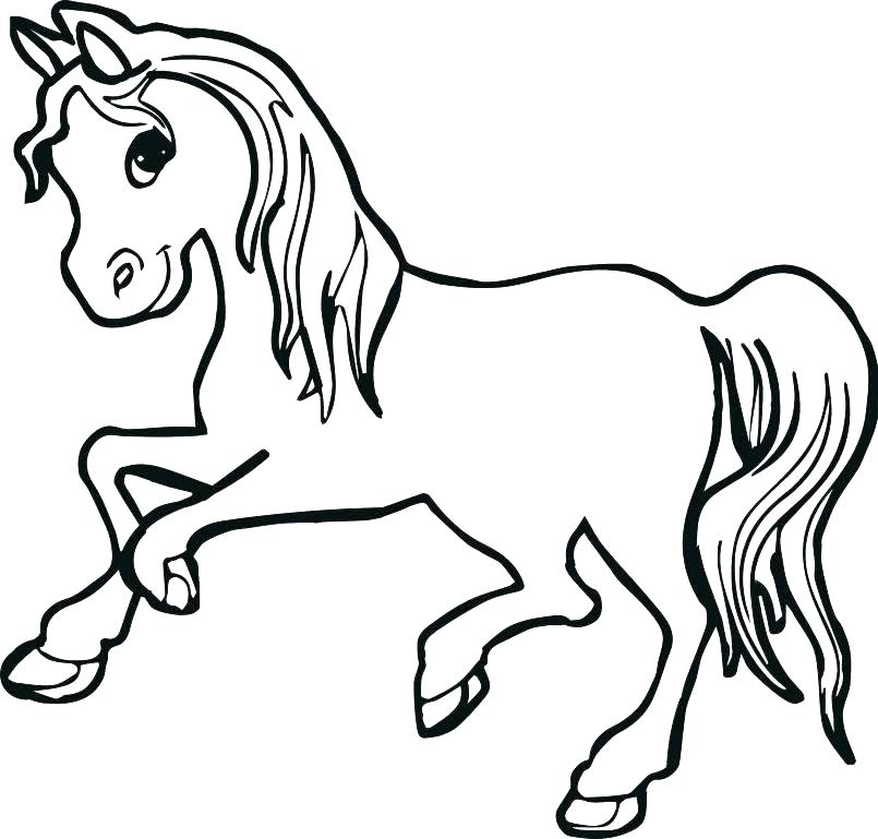 805x769 A Coloring Page Of A Horse Coloring Pages Animal Coloring Pages