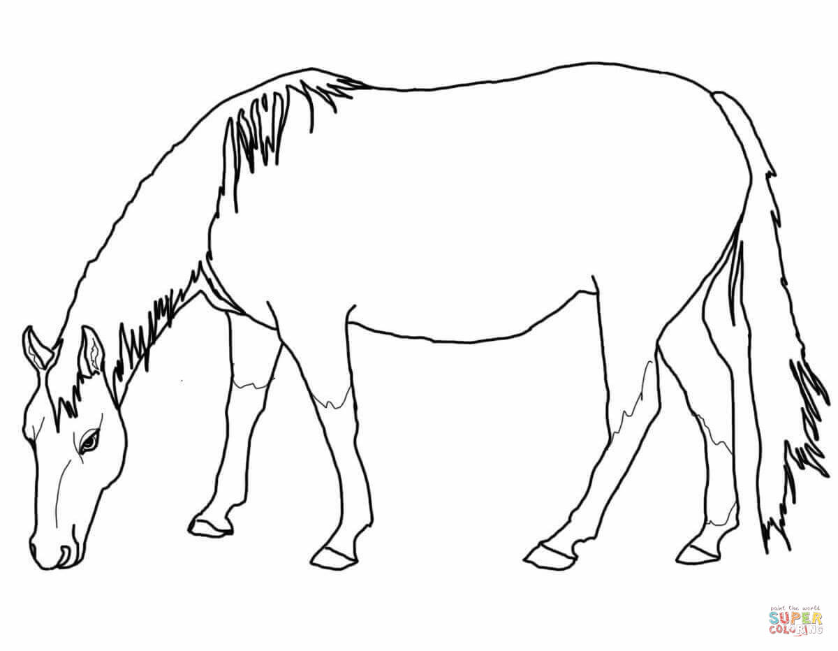 1200x932 Realistic Jungle Animal Coloring Pages Explore Horse And More